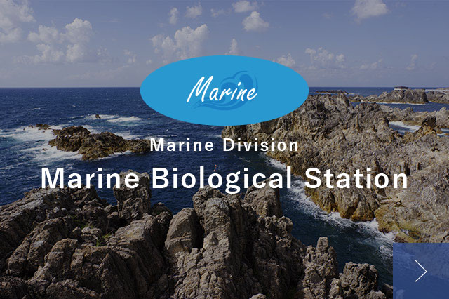 Marine Division Marine Biological Station