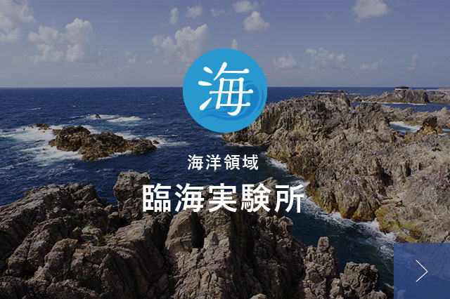 海洋領域 臨海実験所