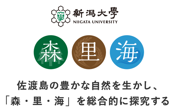 佐渡島の豊かな自然を生かし、「森・里・海」を総合的に探究する