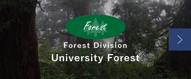 Forest Division University Forest