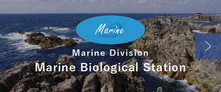 Marine Division Marine Biological Station