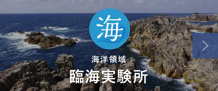 海洋領域 臨海実験所