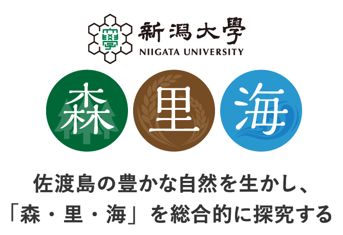 佐渡島の豊かな自然を生かし、「森・里・海」を総合的に探究する